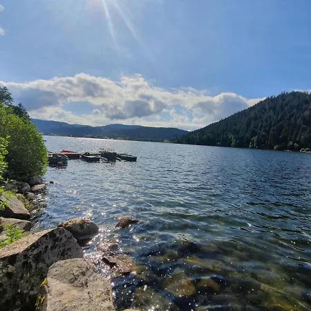 Au Pied Du Appartement Gérardmer
