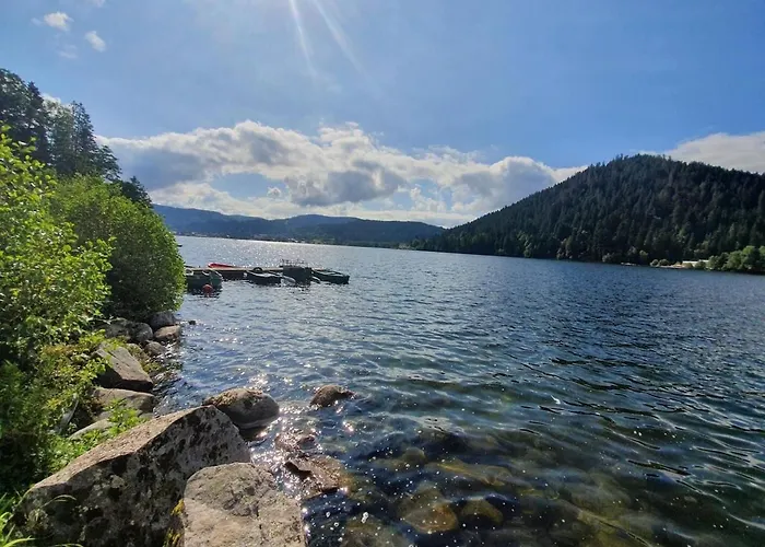 Au Pied Du Lägenhet Gérardmer